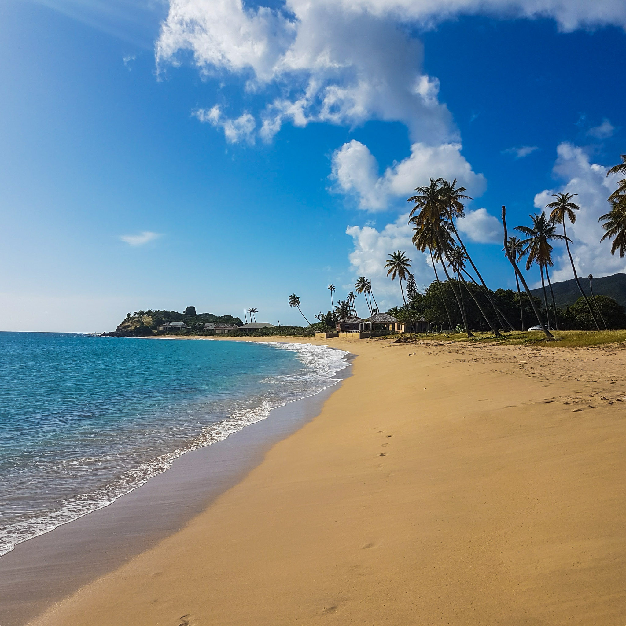 Jabberwock, Antigua