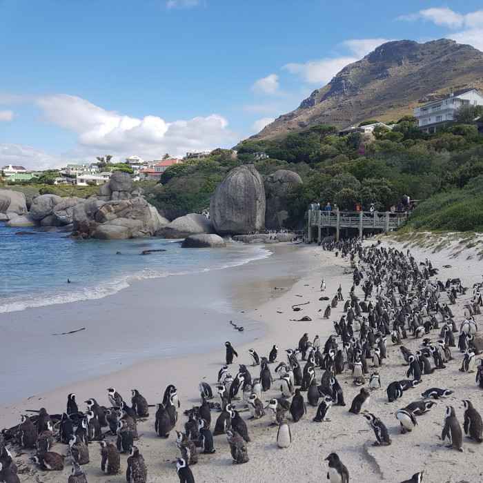 Langebaan, South Africa