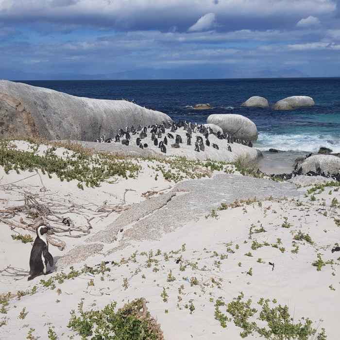 Langebaan, South Africa