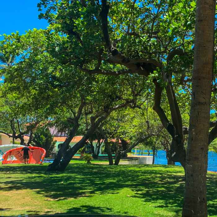 Guajiru, Brazil